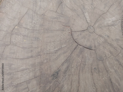 Obraz na płótnie Top view of a weathered grey tree stump with distinct growth rings and cracks