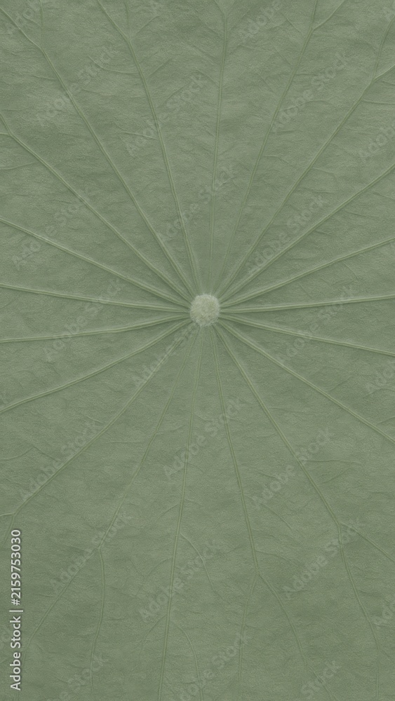 Fototapeta premium Intricate green leaf texture pattern.