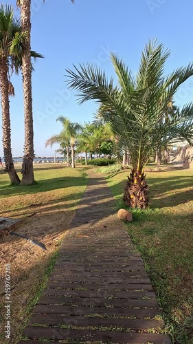 Walking along a wooden walkway surrounded by green grass and palm trees, next to the beach with umbrellas on the sand and the ocean under a clear blue sky, near the promenade of Benalmadena, Malaga, A
