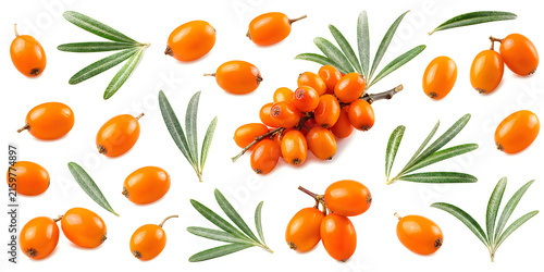 Fresh sea buckthorn berries in orange color with green leaves arranged in composition on white background for healthy fruit nutrition and organic beauty uses.