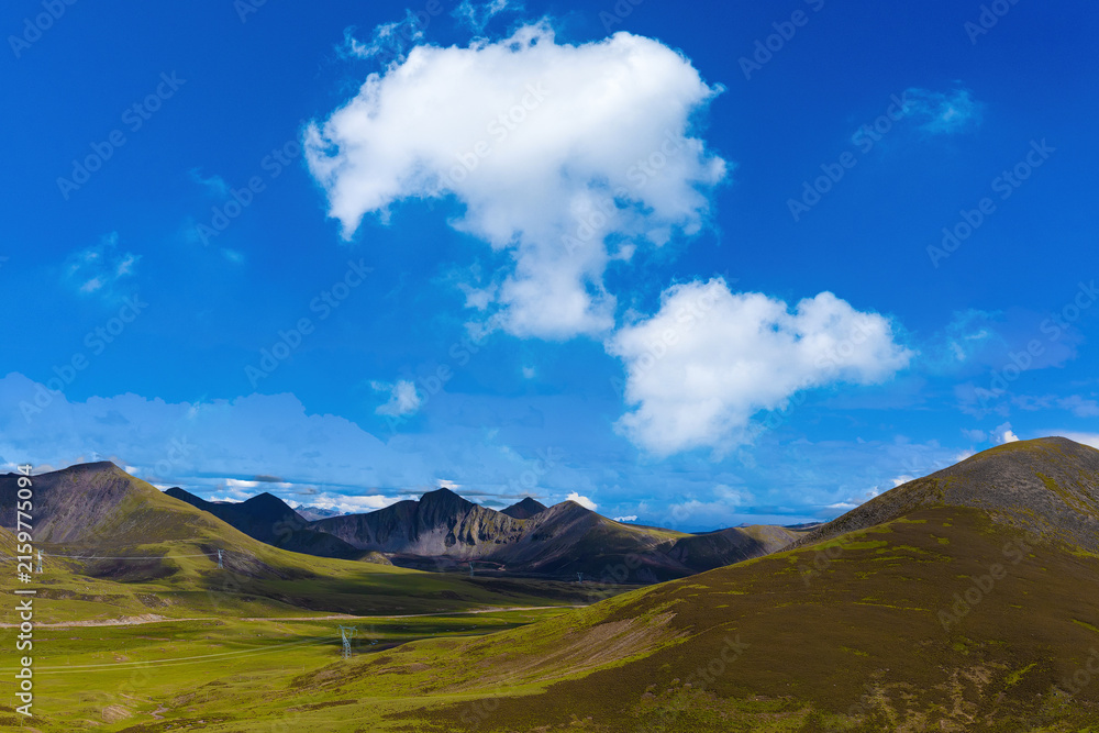 Obraz premium Tibetan Plateau Landscape with Green Hills and Blue Sky