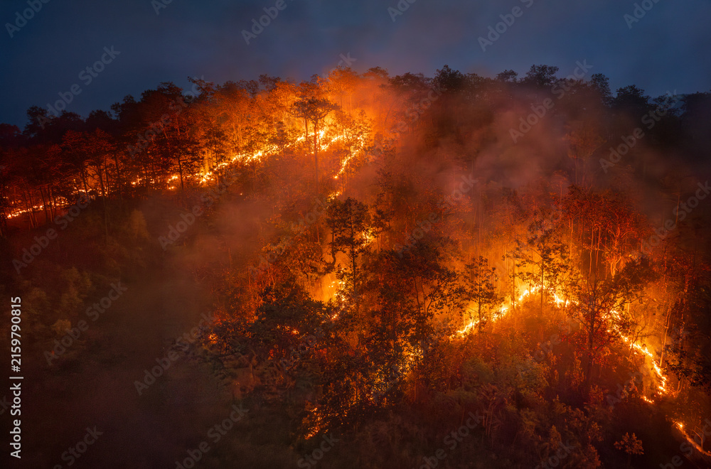 Fototapeta premium El Nino climate event dries regions and increased wildfire risk.