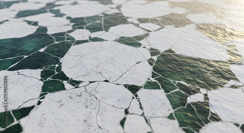Abstract Pattern of Cracked Ice Floes on Dark Water.