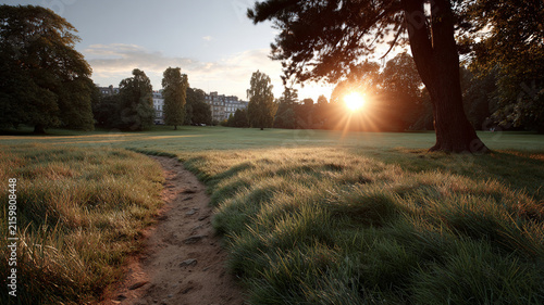 Morning fitness atmosphere minimalist scenic running park sunrise path through grass field with tree silhouette and calm outdoor nature view