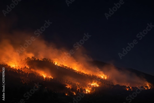 A forest wildfire rages across a hillside at night, with bright orange flames and thick smoke illuminating the dark sky.