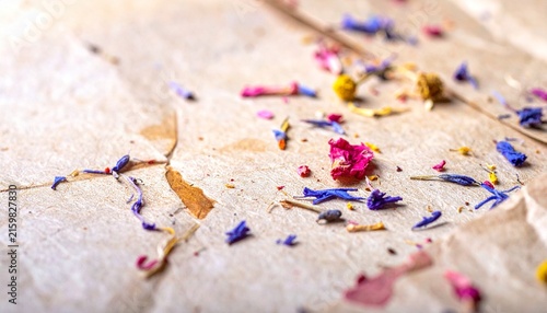 Colorful dried flower petals on light background.