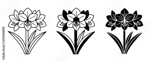 Amaryllis Flower Vector Icons, Black and White Botanical Illustrations, Floral Design Elements
