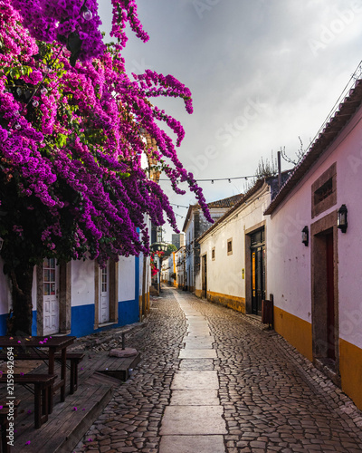 Historic cobblestone street beneath vibrant purple bougainvillea, Portugal