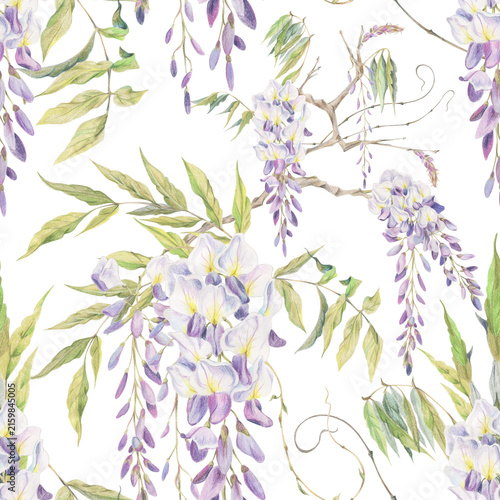 Seamless pattern of flowering wisteria branches, leaves and climbing tendrils. Watercolor illustration hand drawn in crayon pencil. Textile print, wallpaper, wrapping paper, packaging, surface design.