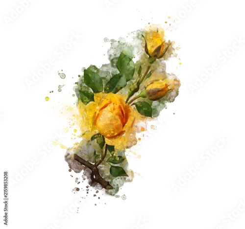 Golden yellow rose watercolor with blooming flower, buds, green leaves and thorny stem isolated on transparent background.