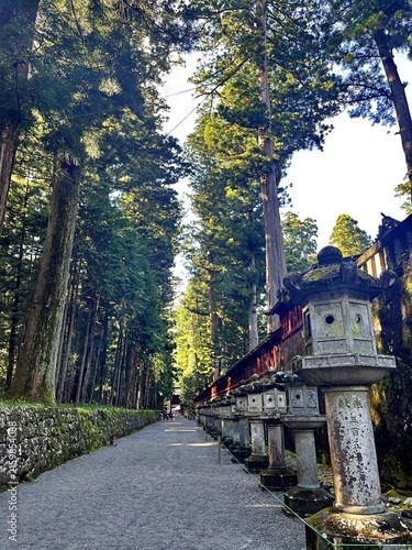 Foto Traditional stone lanterns and high cedar forest pathway leading to Futarasan Shrine or Toshogu Temple in Nikko, World Heritage Site
