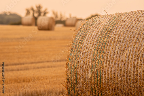 Rundballen