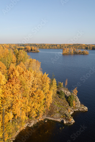 Foto Aerial vertical view of autumn lake with golden birch forest and rocky shore in