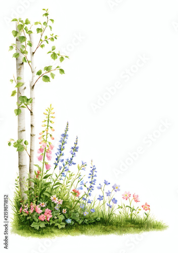Beautiful watercolor corner with birch trees and wildflowers on white background. Spring or summer floral composition perfect for invitations, cards, or design projects.