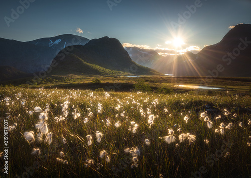 Quadro su tela Valley Leirungsdalen and mountain Knutshoe, Jotunheimen national park, Norway)