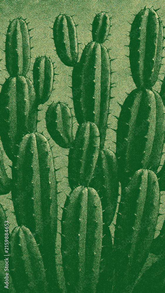Fototapeta premium Vintage green cactus mobile wallpaper