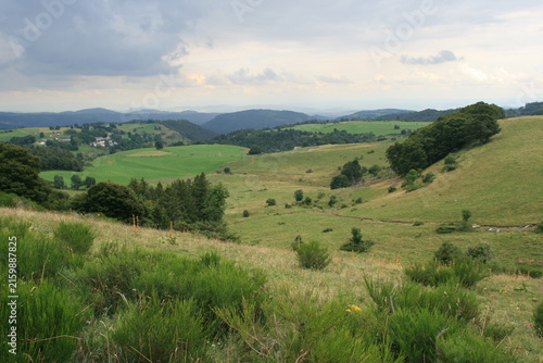 countryside in auvergne in france 