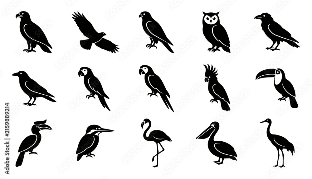 Naklejka premium Set of black silhouettes of various exotic and wild birds isolated on a white background for design