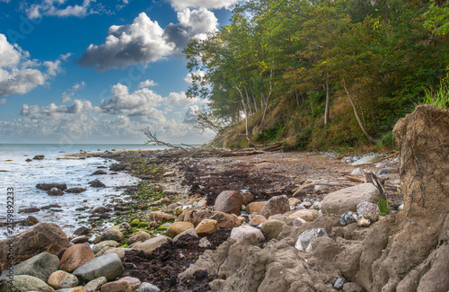 Wildromantische Ostseeküste, die Steilküste bei Katharinenhof auf Fehmarn