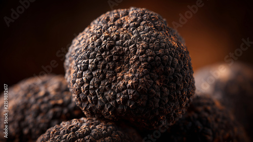 Wild Native Delicacy | Freshly Dug Black Truffle Close-up