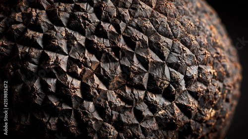 Wild Native Delicacy | Freshly Dug Black Truffle Close-up