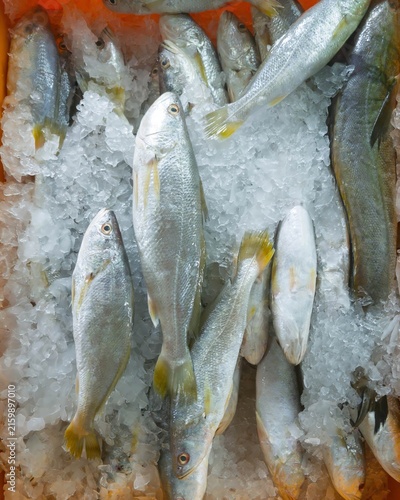At the seafood market, fresh threadfin bream fish are displayed on ice.