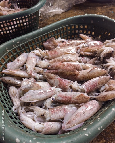 The squid are grouped, sold at low prices, and have a high nutritional value while still looking fresh.
