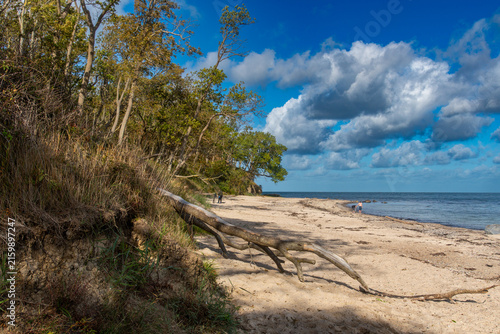 Wildromantische Ostseeküste, die Steilküste bei Katharinenhof auf Fehmarn
