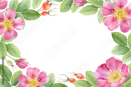 Rosehip flowers, bud, berries and leaves hand drawn watercolor frame. Pink wild rose summer floral template. Botanical layout of briar, blooming dog rose for invites, wedding card, packaging cosmetic