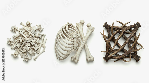 Set of Scattered Animal Bones in Three Different Arrangements Isolated on White Background, Skeletal Pile Crossbones and Twig Pattern for Halloween Bone Decor Concept