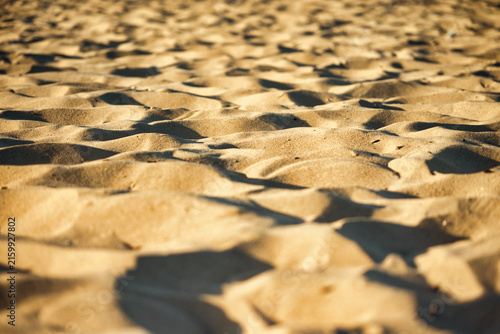 Фотография Golden yellow sand on a sunny beach