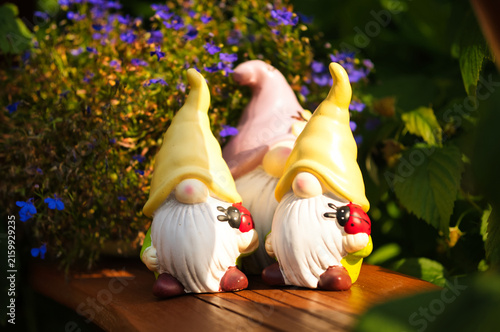 Cuadro en lienzo Tytuł  Three garden gnome figurines lying on a bench in a garden