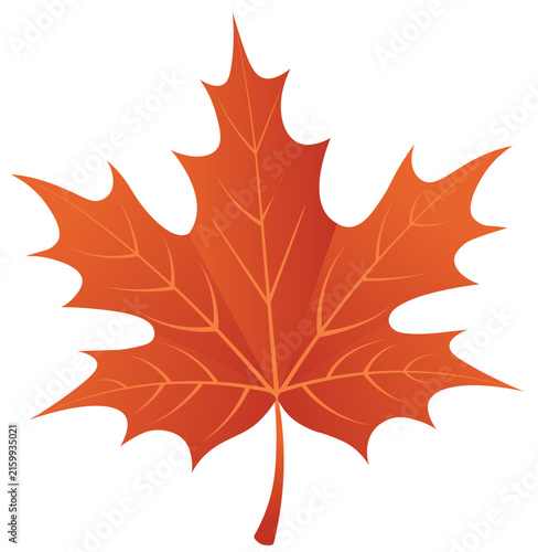 Orange autumn maple leaf layout template for seasonal fall sale Thanksgiving holiday celebration nature greeting card poster banner design
