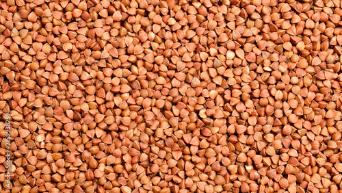 Canvastavla Raw roasted buckwheat groats fill the entire frame creating a textured background