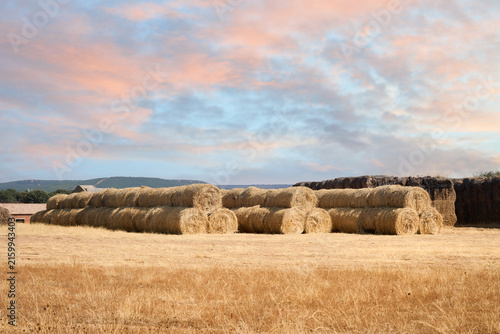 Hay bales stacked in dry golden field, Spain