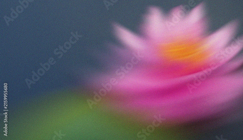 Soft Pink Lotus Flower with Orange Center in Dreamy Artistic Motion Blur