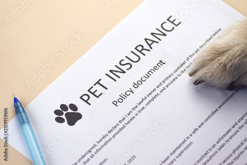 Animal insurance to protect pets health.
