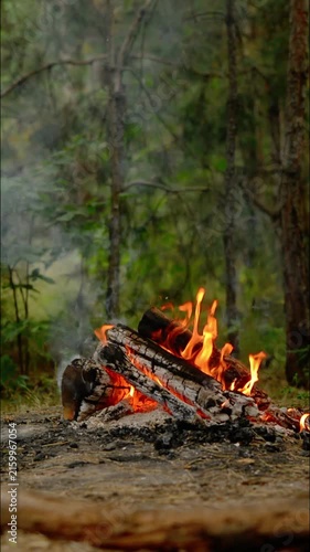 Vertical Loop of Campfire in Forest with Crackling Audio. Vertical 9:16 loopable stock footage of an active outdoor campfire burning in a peaceful forest, featuring a real natural fire crackling sound