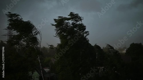 Winds pick up as dark clouds gather over trees in an urban setting. The weather shows signs of an approaching storm with swirling branches and an ominous sky