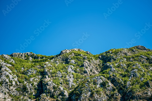 Rugged karst mountain landscape in Montenegro with pale limestone rocks, dense green shrubs, and expansive clear blue sky