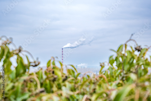 Striped thermal power plant chimney releasing a white plume above green crops in a rural landscape beneath a bright cloudy blue sky