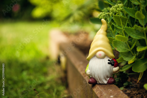 Cuadro en lienzo Garden gnome with yellow hat and long white beard