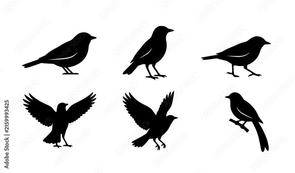 Fototapeta premium Black Bird Silhouette Vector Set Minimal Nature Wildlife Logo Icons