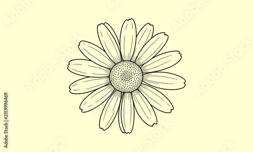Daisy flower blossom line art showing detailed top view petals