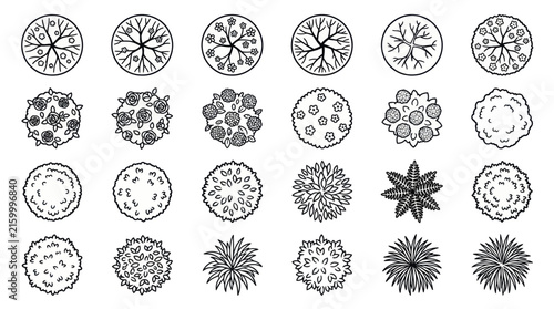 Landscape architecture tree plan view vegetation icons.
