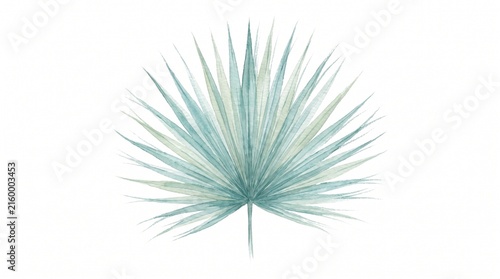 Elegant teal palm leaf illustration, a delicate botanical design element. Serene tropical foliage, perfect for nature-inspired branding and decor. Hand-drawn fan palm frond