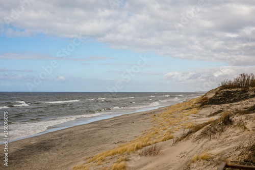 Wide view of sandy baltic beach and coastal dunes in kaliningrad region.