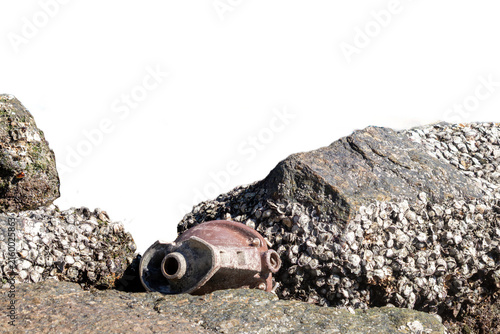 Foto An old toilet discarded among rocks by the sea, covered in barnacles and integrated into the landscape