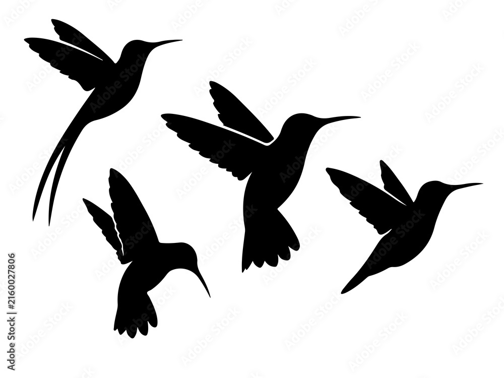 Obraz premium Hummingbird silhouettes in flight against a white background nature inspired vector illustration