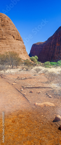 Fotografie Australian outback and dry landscape of Northern Territory